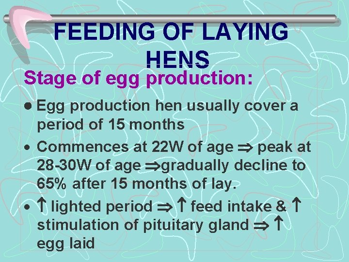 FEEDING OF LAYING HENS Stage of egg production: Egg production hen usually cover a