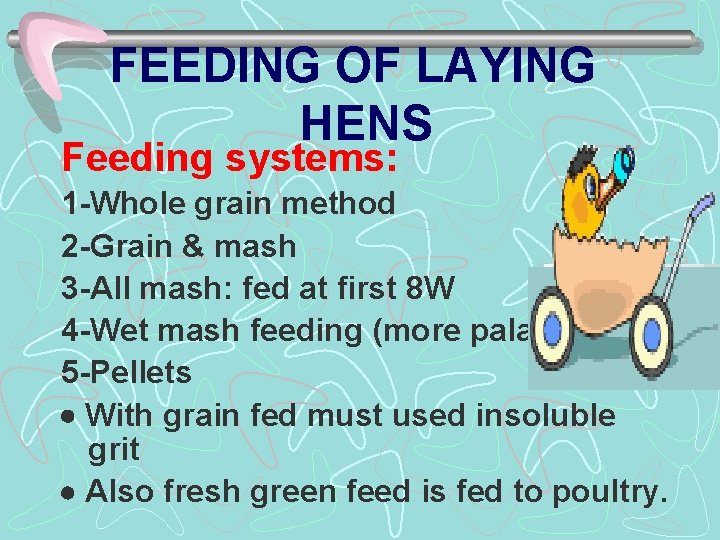 FEEDING OF LAYING HENS Feeding systems: 1 -Whole grain method 2 -Grain & mash