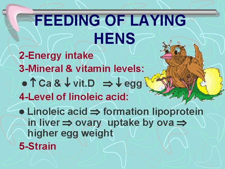 FEEDING OF LAYING HENS 2 -Energy intake 3 -Mineral & vitamin levels: Ca &