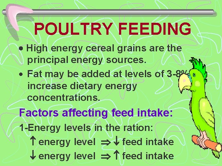 POULTRY FEEDING High energy cereal grains are the principal energy sources. · Fat may