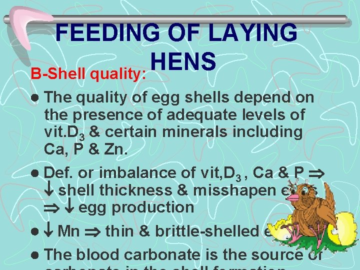 FEEDING OF LAYING HENS B-Shell quality: The quality of egg shells depend on the