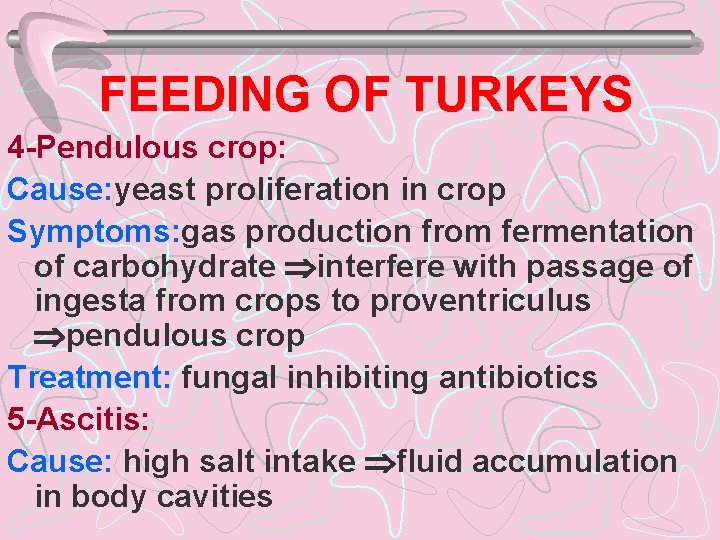 FEEDING OF TURKEYS 4 -Pendulous crop: Cause: yeast proliferation in crop Symptoms: gas production