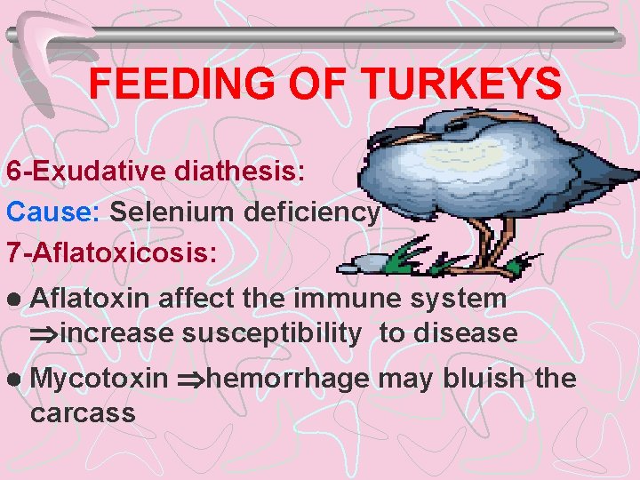 FEEDING OF TURKEYS 6 -Exudative diathesis: Cause: Selenium deficiency 7 -Aflatoxicosis: Aflatoxin affect the