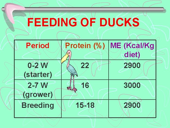 FEEDING OF DUCKS Period 0 -2 W (starter) 2 -7 W (grower) Breeding Protein