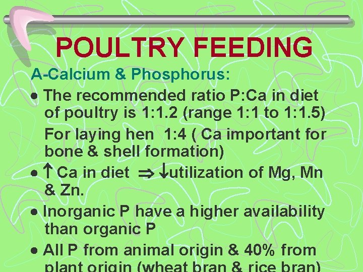 POULTRY FEEDING A-Calcium & Phosphorus: The recommended ratio P: Ca in diet of poultry