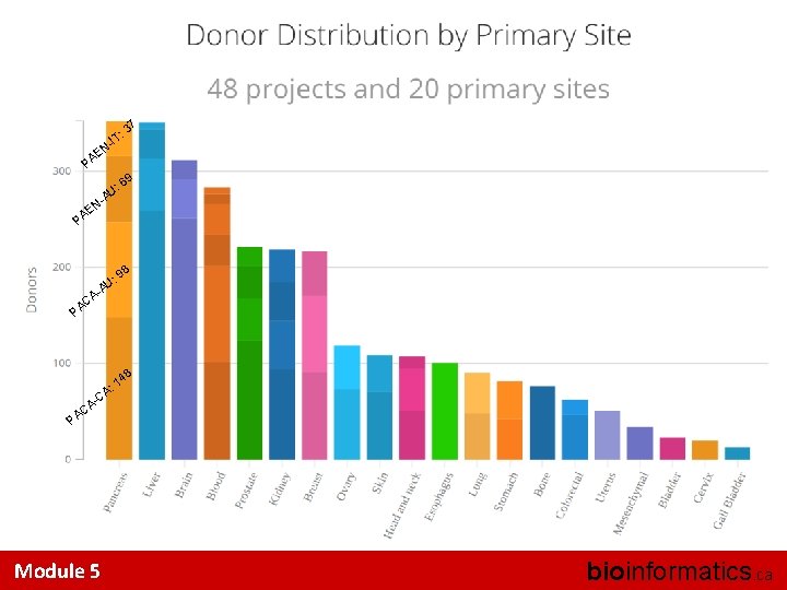 Take new screenshot when pancreas is fixed 37 : -IT N E PA 9