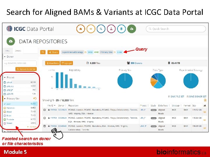 Search for Aligned BAMs & Variants at ICGC Data Portal Query Faceted search on