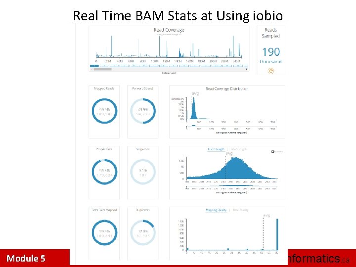 Real Time BAM Stats at Using iobio Module 5 bioinformatics. ca 