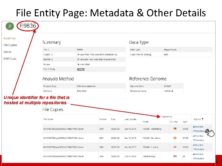 File Entity Page: Metadata & Other Details Unique identifier for a file that is