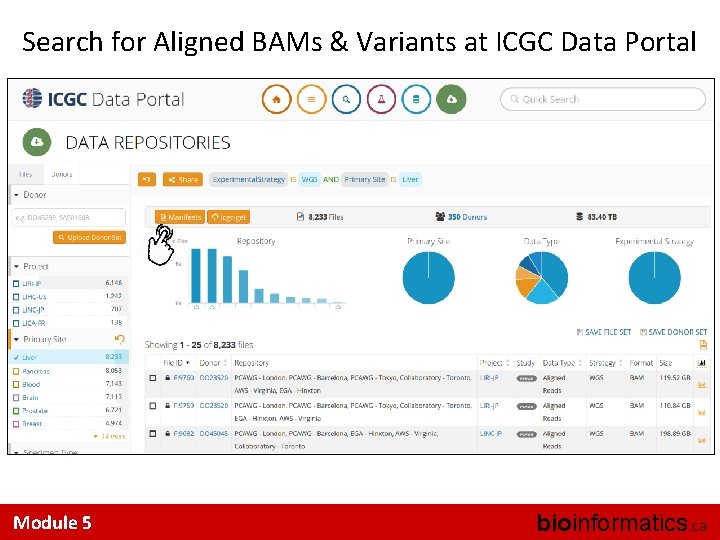 Search for Aligned BAMs & Variants at ICGC Data Portal Module 5 bioinformatics. ca