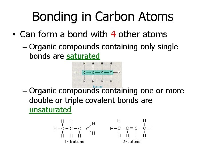 Bonding in Carbon Atoms • Can form a bond with 4 other atoms –