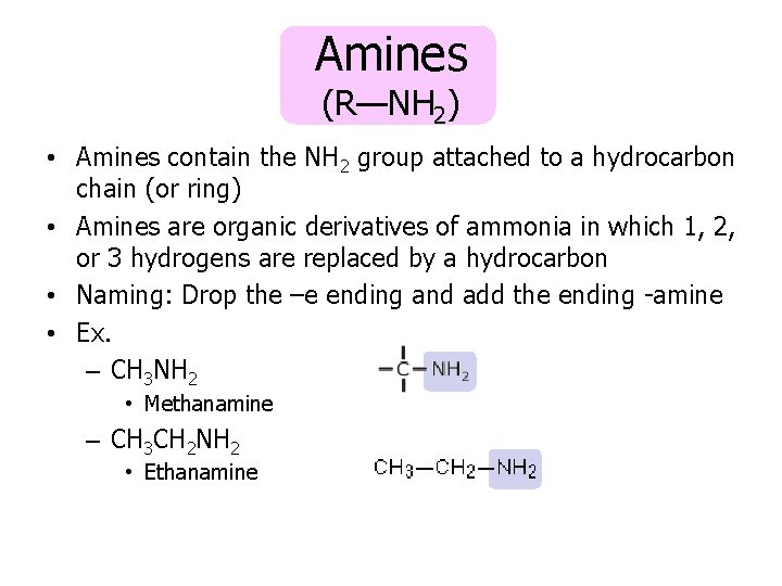 Amines (R—NH 2) • Amines contain the NH 2 group attached to a hydrocarbon