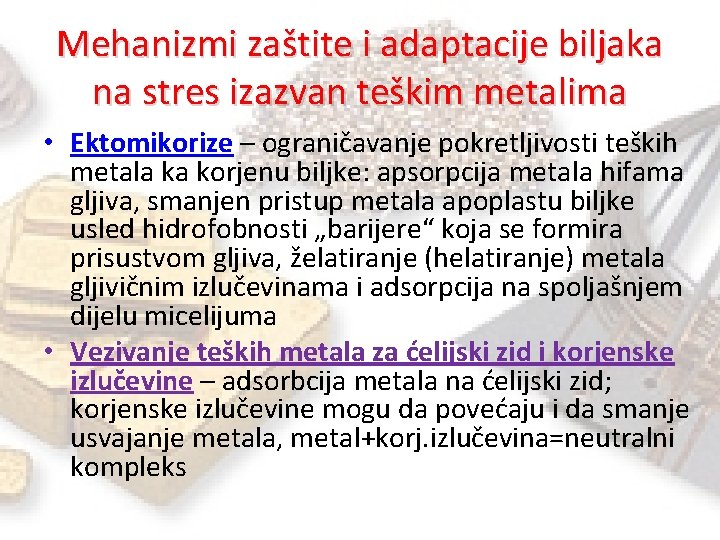 Mehanizmi zaštite i adaptacije biljaka na stres izazvan teškim metalima • Ektomikorize – ograničavanje