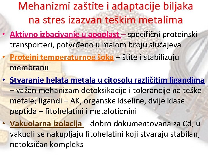 Mehanizmi zaštite i adaptacije biljaka na stres izazvan teškim metalima • Aktivno izbacivanje u