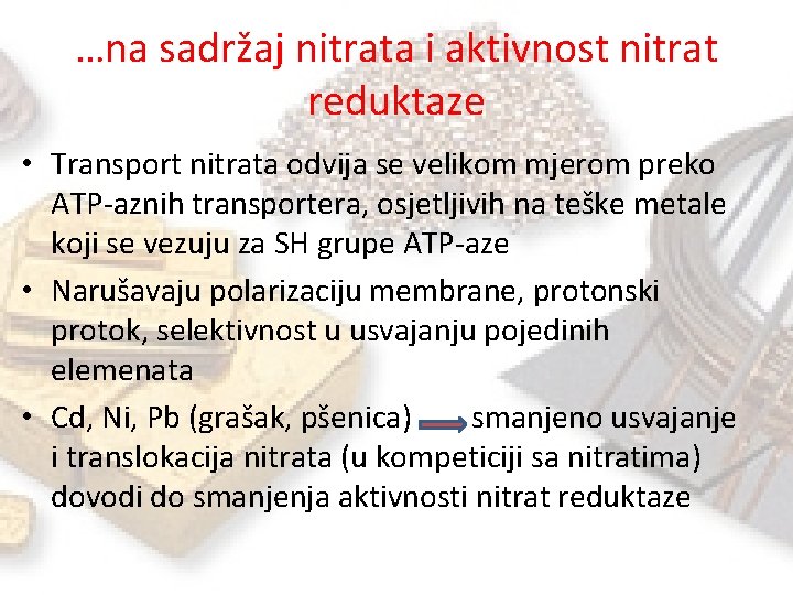 …na sadržaj nitrata i aktivnost nitrat reduktaze • Transport nitrata odvija se velikom mjerom