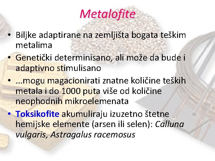 Metalofite • Biljke adaptirane na zemljišta bogata teškim metalima • Genetički determinisano, ali može