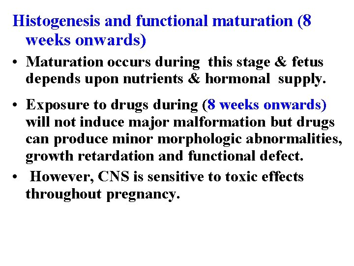 Histogenesis and functional maturation (8 weeks onwards) • Maturation occurs during this stage &