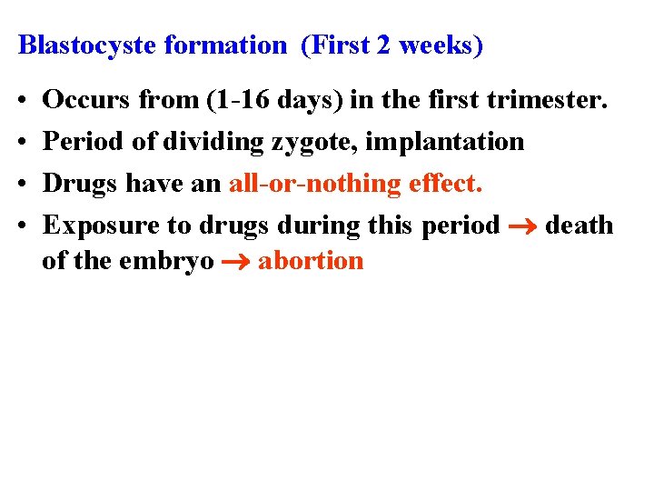 Blastocyste formation (First 2 weeks) • • Occurs from (1 -16 days) in the