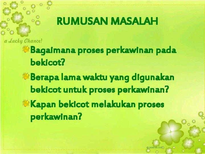 RUMUSAN MASALAH Bagaimana proses perkawinan pada bekicot? Berapa lama waktu yang digunakan bekicot untuk