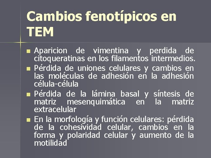 Cambios fenotípicos en TEM n n Aparicion de vimentina y perdida de citoqueratinas en