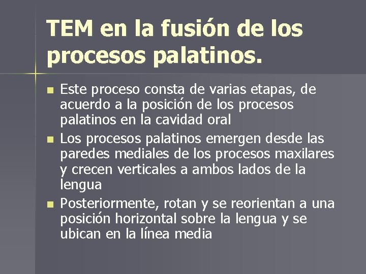 TEM en la fusión de los procesos palatinos. n n n Este proceso consta