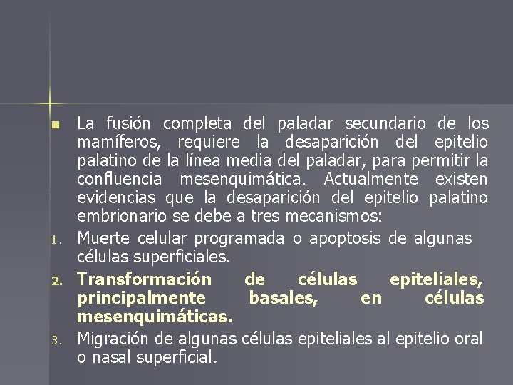 n 1. 2. 3. La fusión completa del paladar secundario de los mamíferos, requiere