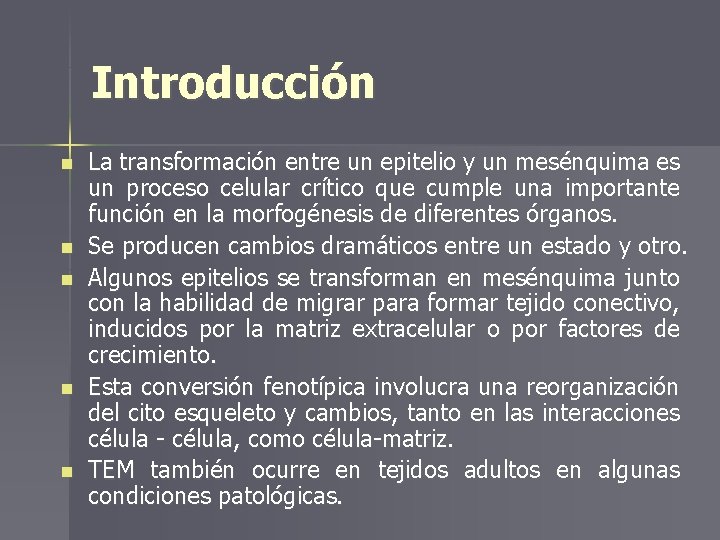 Introducción n n La transformación entre un epitelio y un mesénquima es un proceso