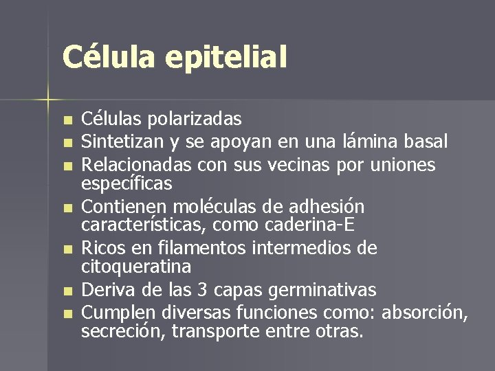 Célula epitelial n n n n Células polarizadas Sintetizan y se apoyan en una