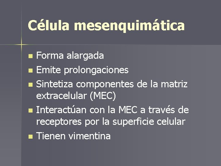 Célula mesenquimática Forma alargada n Emite prolongaciones n Sintetiza componentes de la matriz extracelular