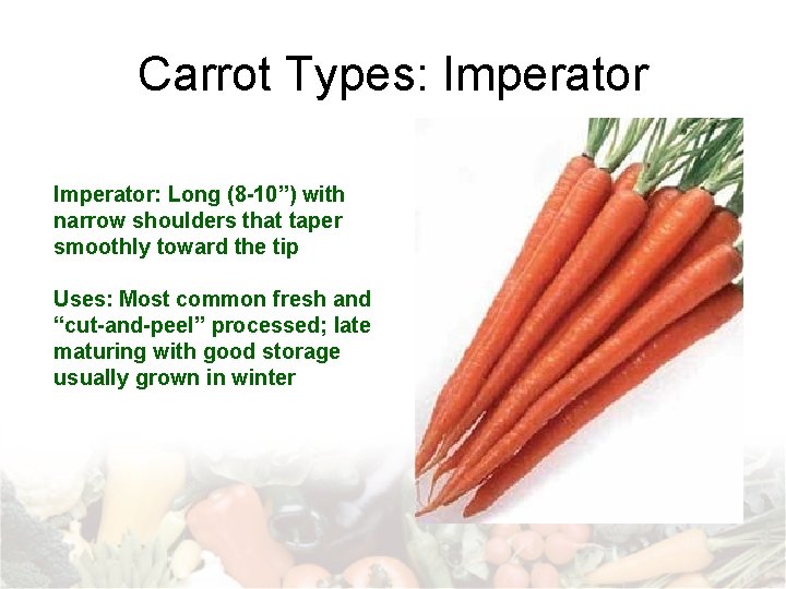 Root Tuber Bulb Crops Carrot Relatives Umbelliferae Family