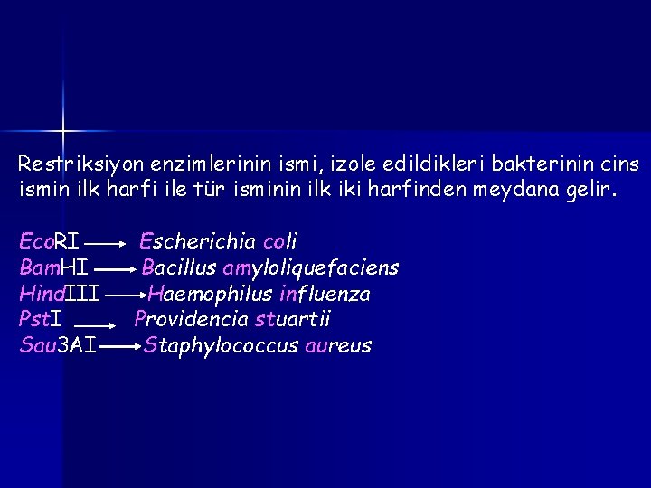 Restriksiyon enzimlerinin ismi, izole edildikleri bakterinin cins ismin ilk harfi ile tür isminin ilk