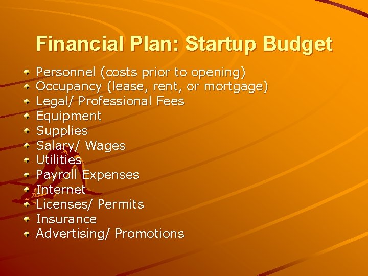 Financial Plan: Startup Budget Personnel (costs prior to opening) Occupancy (lease, rent, or mortgage)