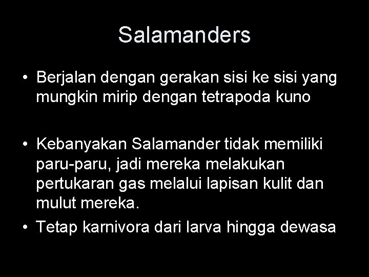 Salamanders • Berjalan dengan gerakan sisi ke sisi yang mungkin mirip dengan tetrapoda kuno