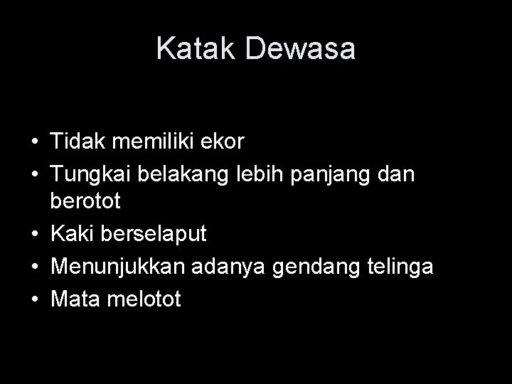 Katak Dewasa • Tidak memiliki ekor • Tungkai belakang lebih panjang dan berotot •