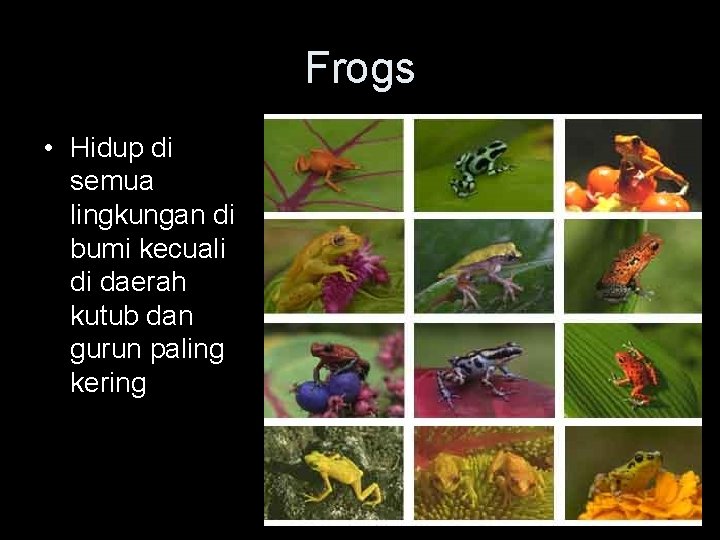 Frogs • Hidup di semua lingkungan di bumi kecuali di daerah kutub dan gurun