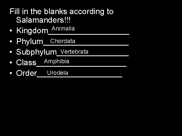 Fill in the blanks according to Salamanders!!! Animalia • Kingdom_________ Chordata • Phylum__________ Vertebrata