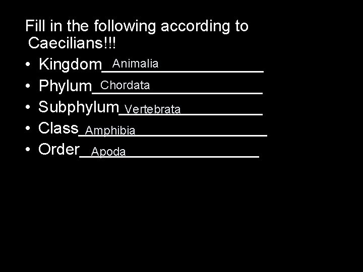 Fill in the following according to Caecilians!!! Animalia • Kingdom_________ Chordata • Phylum__________ •