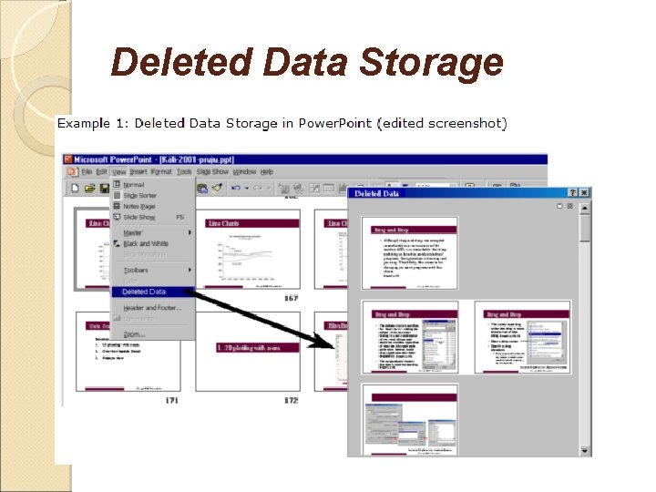 Deleted Data Storage 