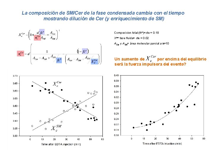 La composición de SM/Cer de la fase condensada cambia con el tiempo mostrando dilución