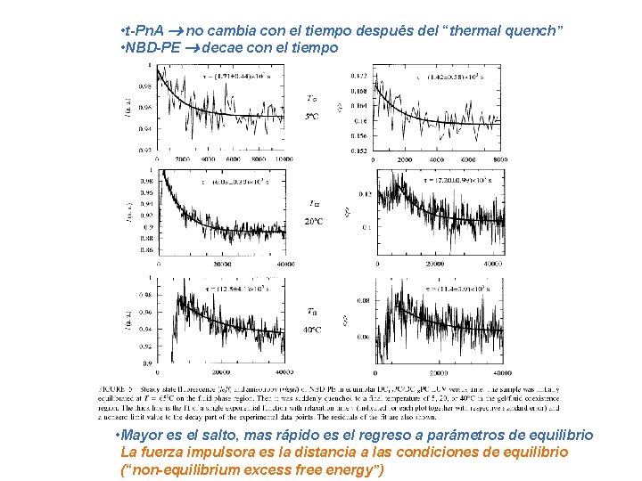  • t-Pn. A no cambia con el tiempo después del “thermal quench” •