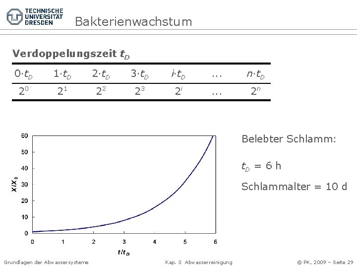 Bakterienwachstum Verdoppelungszeit t. D 0·t. D 1·t. D 2·t. D 3·t. D i·t. D