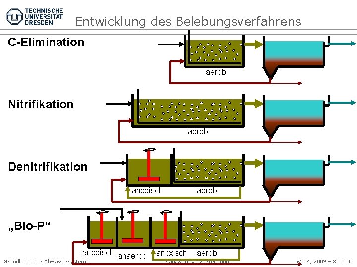 Entwicklung des Belebungsverfahrens C-Elimination aerob Nitrifikation aerob Denitrifikation anoxisch aerob „Bio-P“ anoxisch anaerob Grundlagen