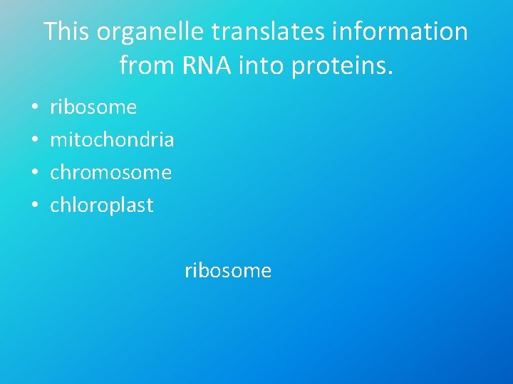 This organelle translates information from RNA into proteins. • • ribosome mitochondria chromosome chloroplast