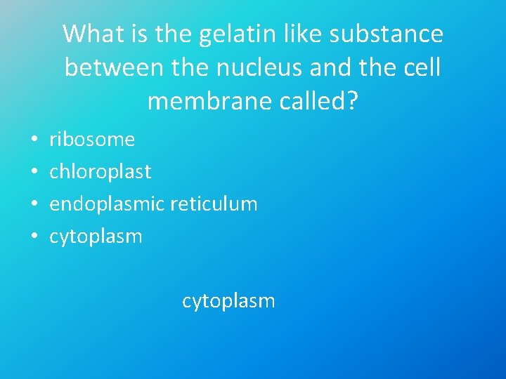 What is the gelatin like substance between the nucleus and the cell membrane called?
