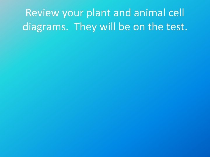 Review your plant and animal cell diagrams. They will be on the test. 