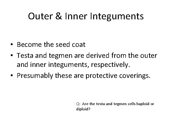 Outer & Inner Integuments • Become the seed coat • Testa and tegmen are