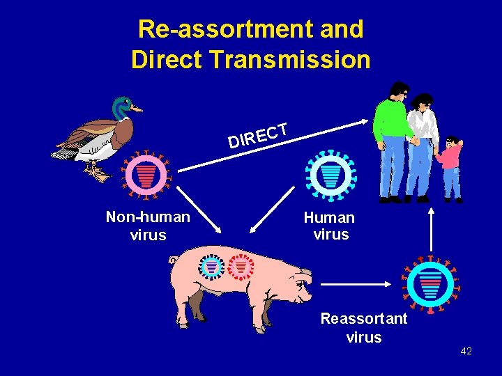 Re-assortment and Direct Transmission CT E R I D Non-human virus Human virus Reassortant