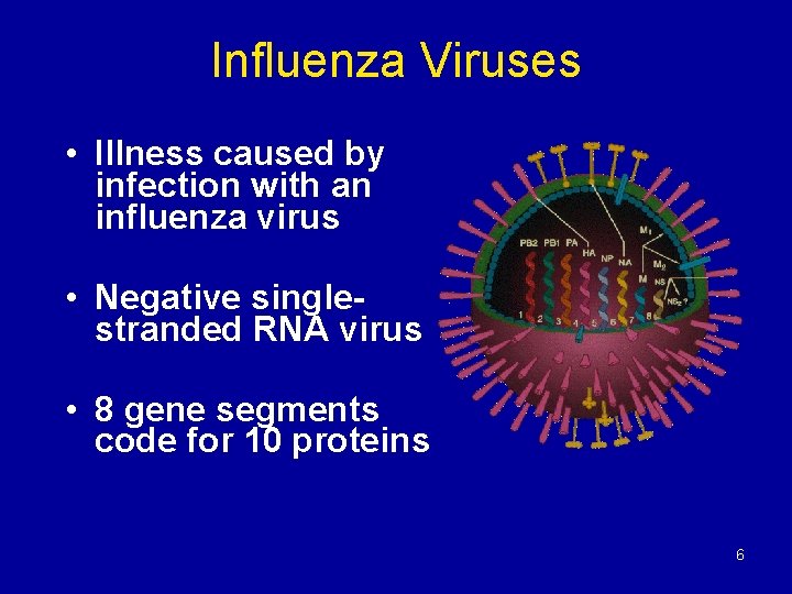 Influenza Viruses • Illness caused by infection with an influenza virus • Negative singlestranded