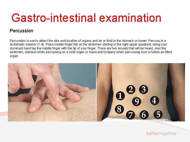 Gastro-intestinal examination Percussion is use to detect the size and location of organs and