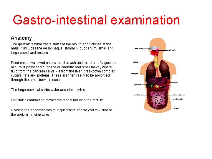 Gastro-intestinal examination Anatomy The gastrointestinal tracts starts at the mouth and finishes at the